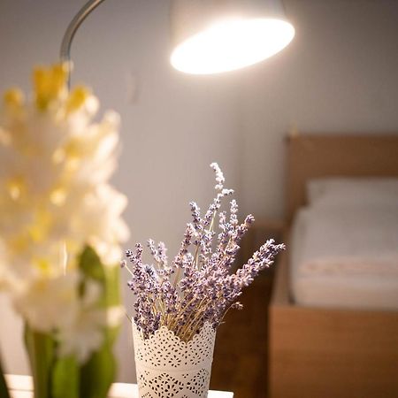 בודפשט Free Parking! Linden Apartment, Ac, Smart Tv, Wifi מראה חיצוני תמונה